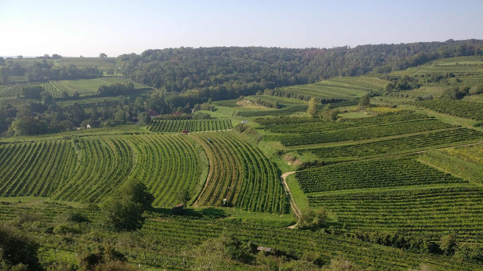 Niederösterreichische Landschaft