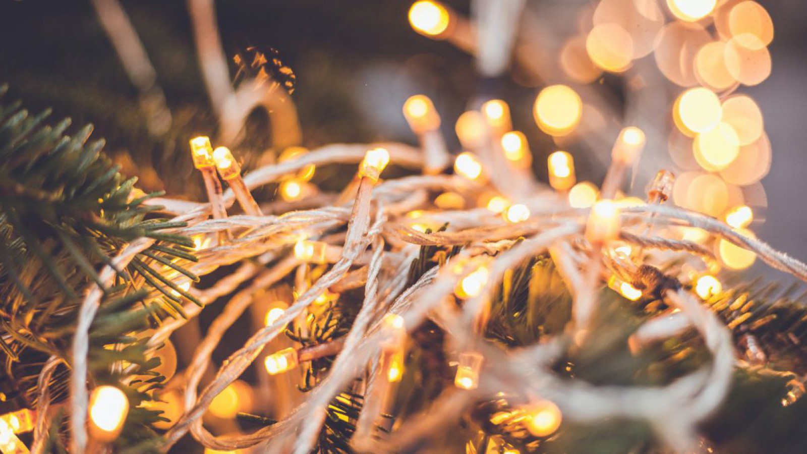 LED-Lichterkette auf Christbaum