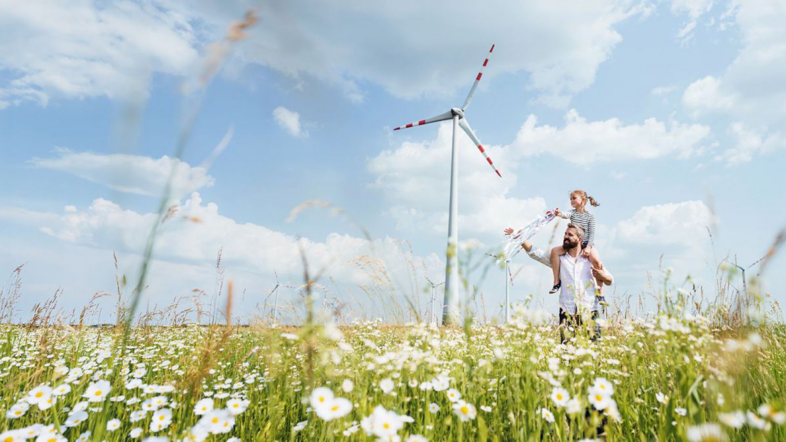 Windkraftanlage auf einer Blumenwiese