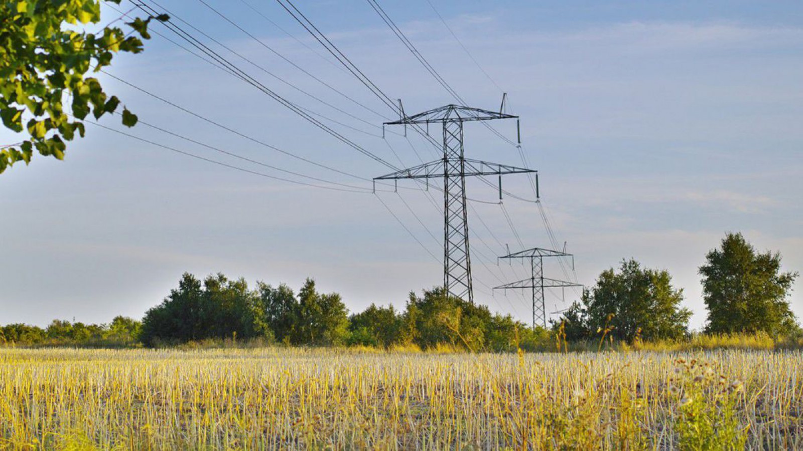 Strommasten auf einem Feld