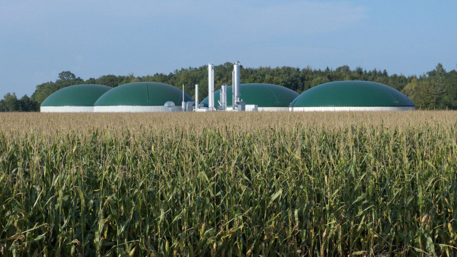 Biogasanlage