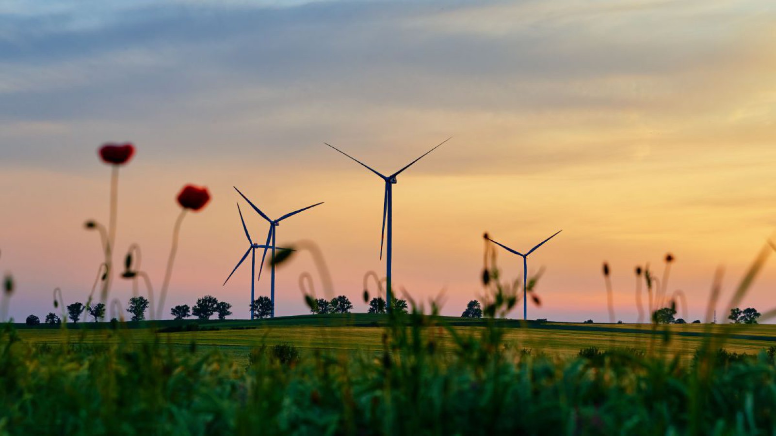 Windr&auml;der im Sonnenuntergang-