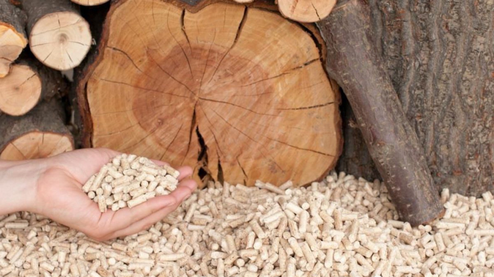 Pellets und Holz