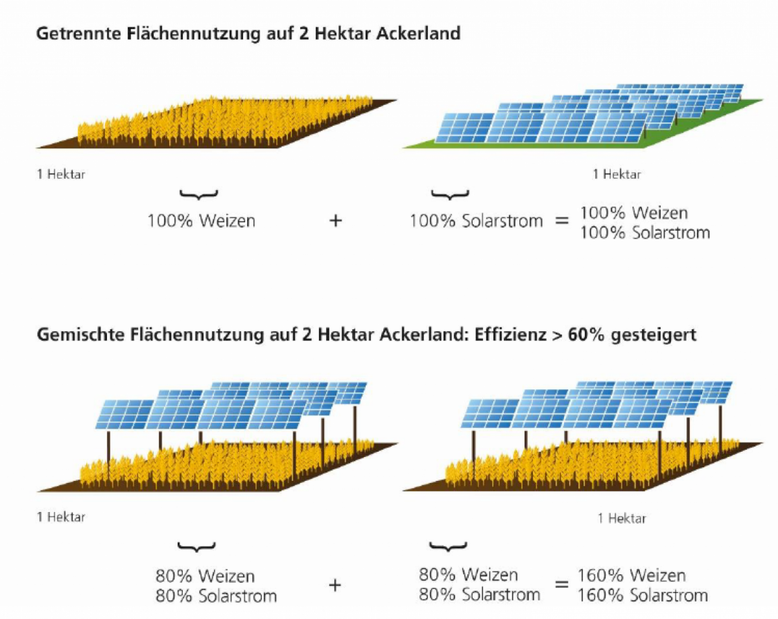 Durch die gemischte Flächennutzung kann durch Agri-PV die Effizienz der Fläche um über 60 Prozent gesteigert werden.