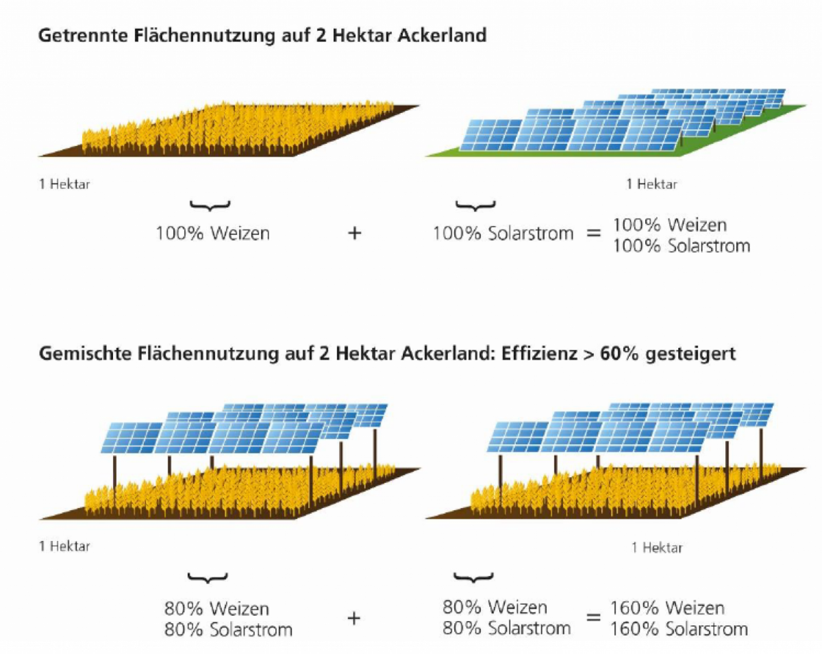 Durch die gemischte Flächennutzung kann durch Agri-PV die Effizienz der Fläche um über 60 Prozent gesteigert werden. 