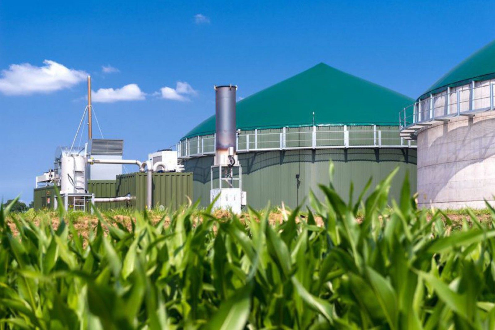 Biogasanlage mit Maisfeld