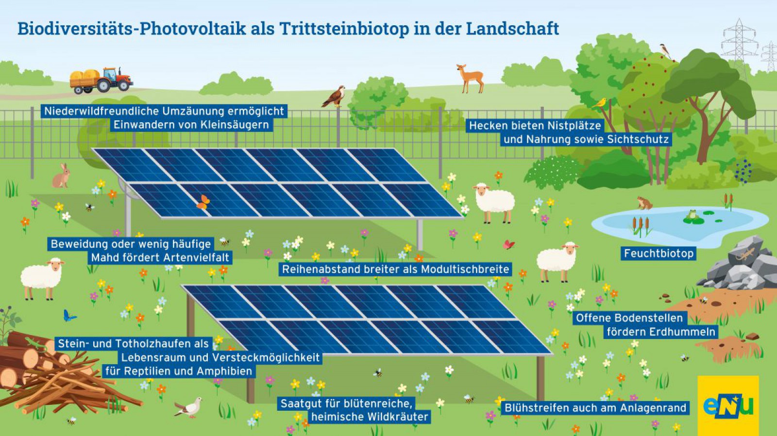 Infografik Biodiversit&auml;ts-Photovoltaik als Trittsteinbiotop in der Landschaft