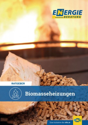 Ratgeber Biomasseheizungen
