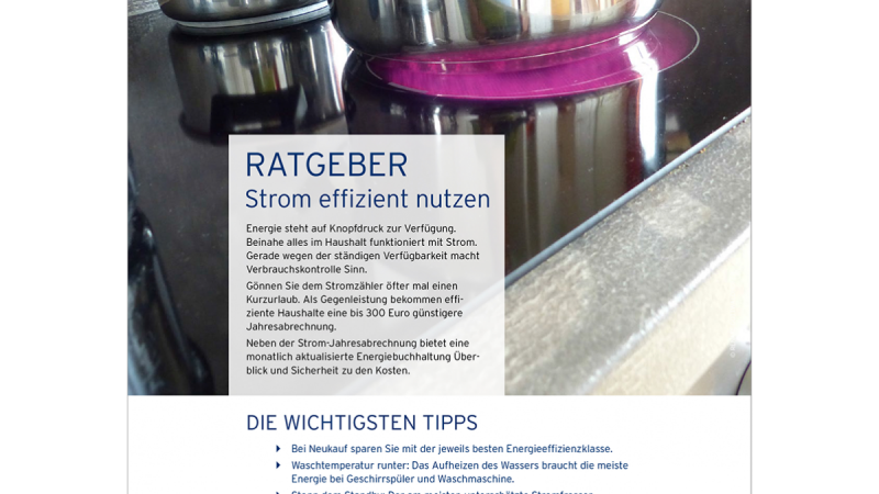 Cover des Ratgebers Strom effizient nutzen