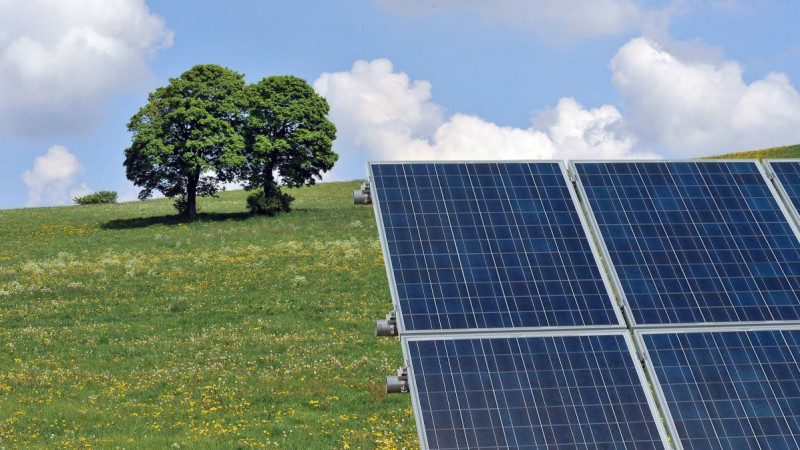 Photovoltaik-Anlage auf einer Blumenwiese